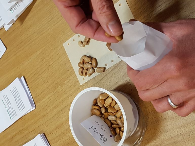 Foto: Katja P. Saatgut in Tüten füllen