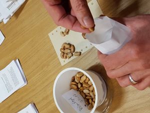 Foto: Katja P. Saatgut in Tüten füllen