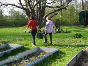 Foto: Jörg L. Mitarbeit im Vermehrungsgarten
